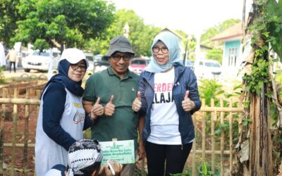 Arboretum Bambu, Program Akselerasi Wujudkan
